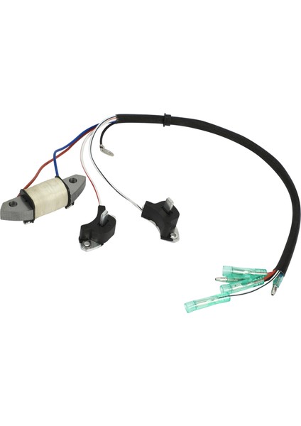 Yamaha 2 Zamanlı 30HP Tekne Motoru Için Şarj Bobini 61N-85543-19 (Yurt Dışından)