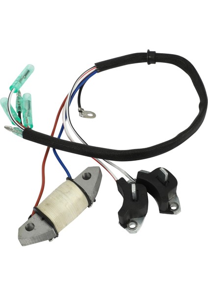 Yamaha 2 Zamanlı 30HP Tekne Motoru Için Şarj Bobini 61N-85543-19 (Yurt Dışından)