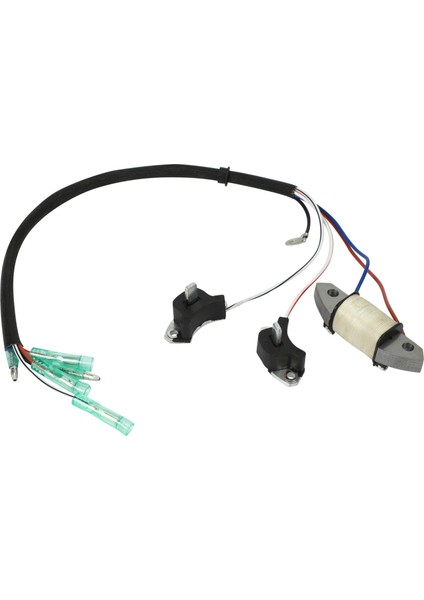 Yamaha 2 Zamanlı 30HP Tekne Motoru Için Şarj Bobini 61N-85543-19 (Yurt Dışından)