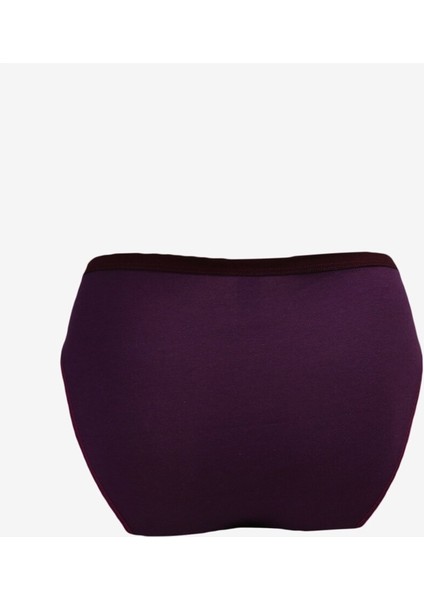 Mürdüm Kadın Bikini Külot 414