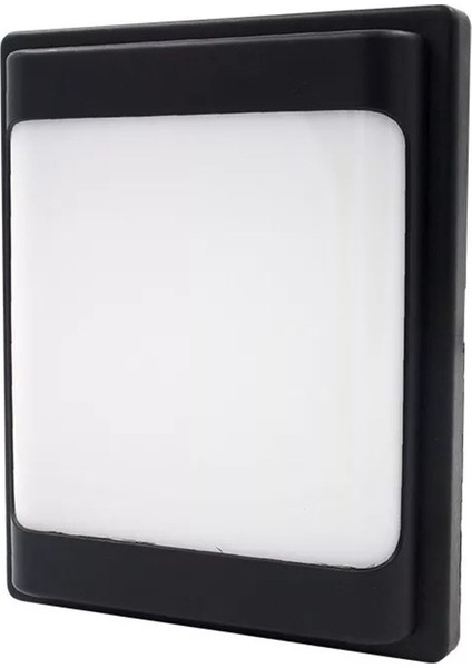 30 W Carpo Siyah Plastik LED Glop 3200K Sarı Işık