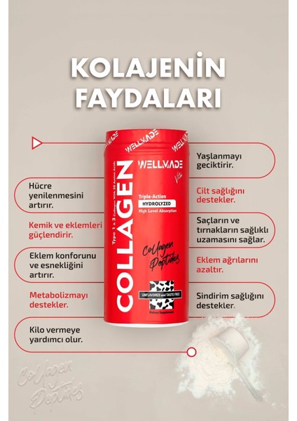 %100 Saf Kolajen Peptit 20 Aminoasit İçeren Takviye Edici Gıda 500 gr (50 Günlük) modelleri