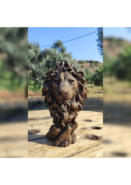 Aslan Kafası Biblosu fiyatları