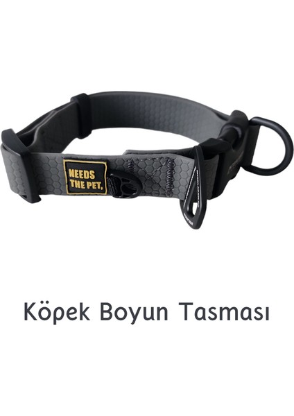 Su Geçirmez Sağlam D-halkalı Gri Köpek Boyun Tasması -Small