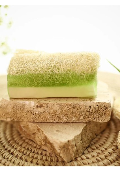 Doğal Kabak Lifli Aloe Vera Sabunu 100 gr fiyatları