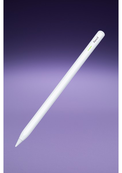 Manyetik Kablosuz Şarj Özellikli 2018 ve Sonrası iPad ile Uyumlu Stylus Kalem