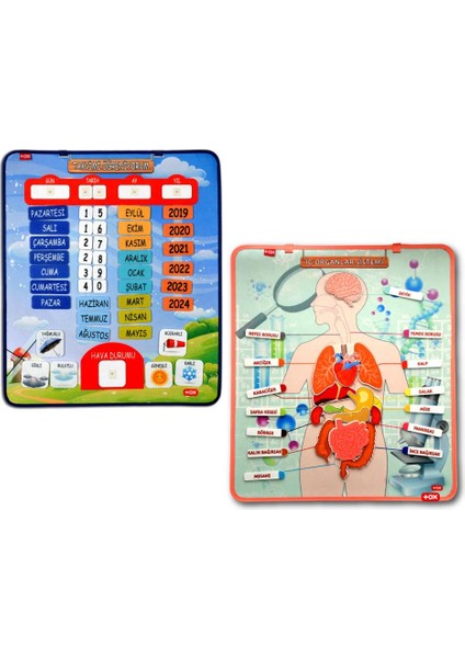 LISINYA247 2 Set - 69 Parça Iç Organlar ve Takvimi Öğreniyorum Keçe Cırtlı Duvar Panoları , Eğitici Oyuncak