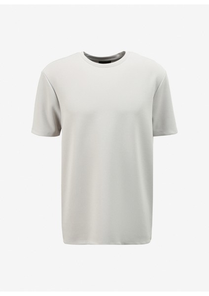 Taş Erkek Bisiklet Yaka Relaxed T-Shirt F4SM-TST 0426
