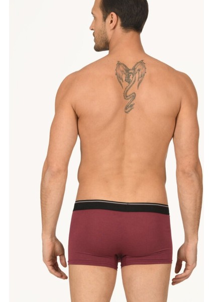 Erkek Hendrix %45 Modal Kumaştan Rahat Bel Lastikli BOXER-735