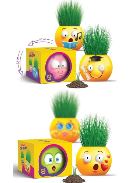 Çim Adam 4 Adet Yeni Nesil Kutulu Emoji Şekiller Parti Hediyelik Okul Öğrenci Karne Hediyeleri
