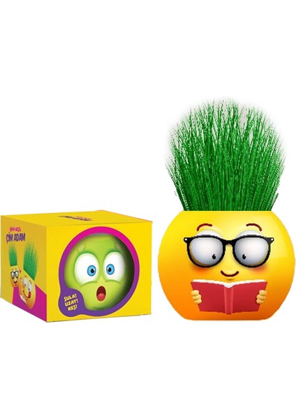 Çim Adam 4 Adet Yeni Nesil Kutulu Emoji Şekiller Parti Hediyelik Okul Öğrenci Karne Hediyeleri