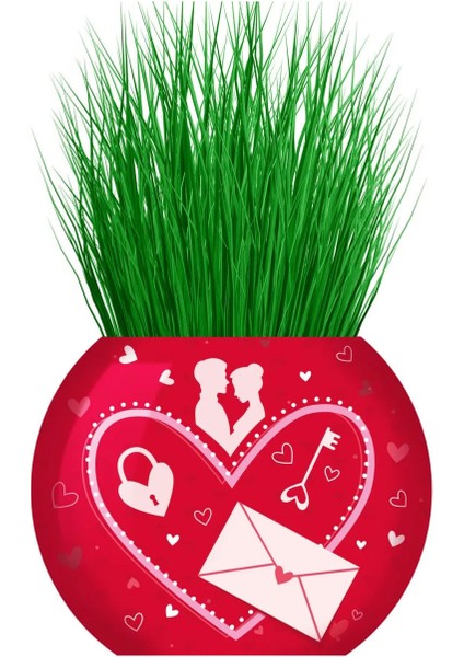 Çim Adam Aşk Love 4 Adet Sevgiliye Konsept Sevgililer Günü lik