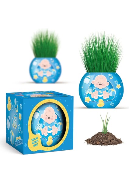 Çim Adam 6 Adet Yeni Nesil Kutulu Mavi Bebek Temalı Baby Shower Yeni Doğan 1 Yaş Doğum Günü Parti Hediyelik