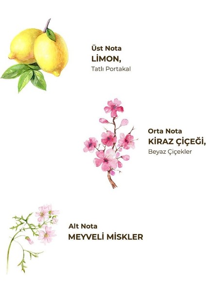 Japon Kiraz Çiçeği Kolonyası 200 ml - Cam Şişe