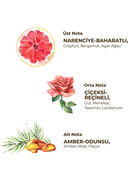 Lamdbrouse Oud Parfümlü Kolonya 100 ml - Cam Şişe