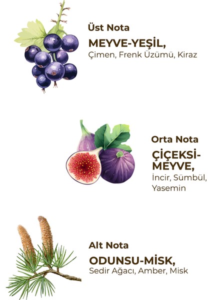 Wild Fig 150 ml Eau De Cologne - Cam Şişe