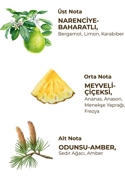 Okyanus 150 ml Eau De Cologne - Cam Şişe fırsatları