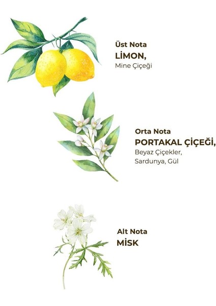 Verbena & Zinde Limon Kolonyası 400 ml - Pet Şişe