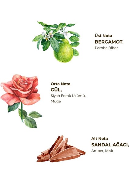 Manolya Çiçeği Kolonyası 150 ml Sprey Kolonya - Pet Şişe