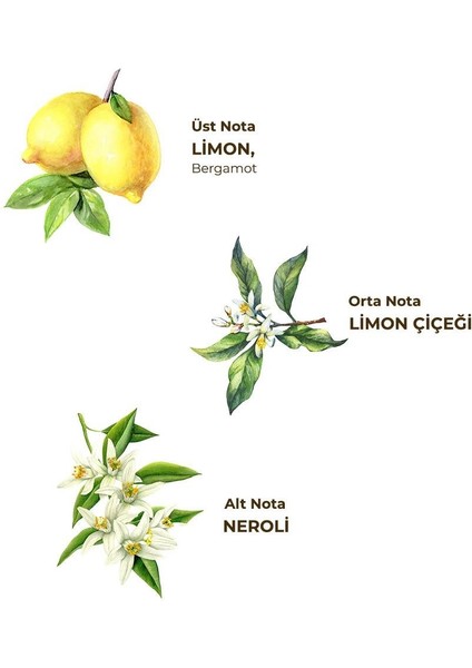 Klasik Limon Kolonyası 200 ml - Cam Şişe