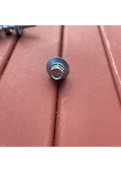 Trapez Çatı Vidası 4.8X19 mm Paket 100 Adet Matkap Uçlu Sac Akıllı Vida Çatı Panel Metal Ağaç Vidası