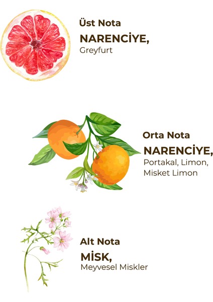 Pink Grapefruit 150 ml Eau De Cologne - Cam Şişe fırsatları