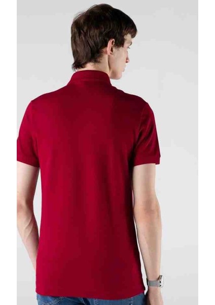 Polo Paris Bordo Regular Fit