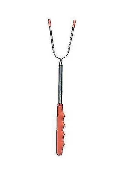 Gıda Sticks Şiş 5 Parça / Set Teleskopik Barbekü Çatal (Yurt Dışından) modelleri