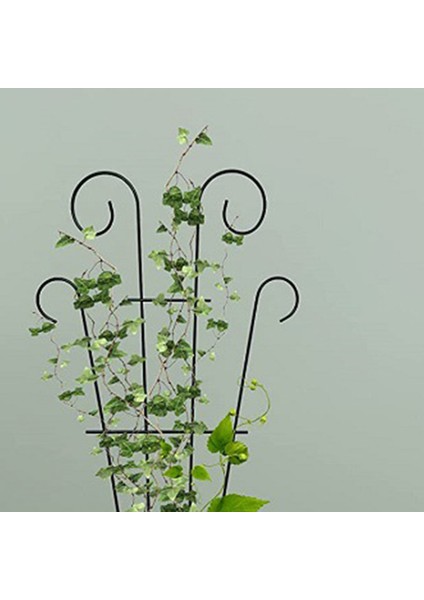 Tırmanma Asma Rafı Sağlam Tırmanma Asma Rafı Bitki Tutucu (Yurt Dışından)
