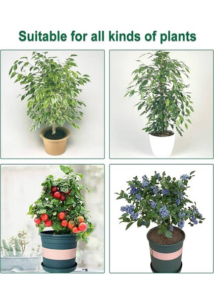 Bahçe Dekorasyonu-5 x Bahçe Ağı Haşere Bariyeri 5 x Taş 5 x 6cm 5 x Taş 7 x 8cm 5 x Taş 5 x 4cm 5 x Taş 7 x 10CM-YEŞIL-BEYAZ ve Yeşil (Yurt Dışından) modelleri