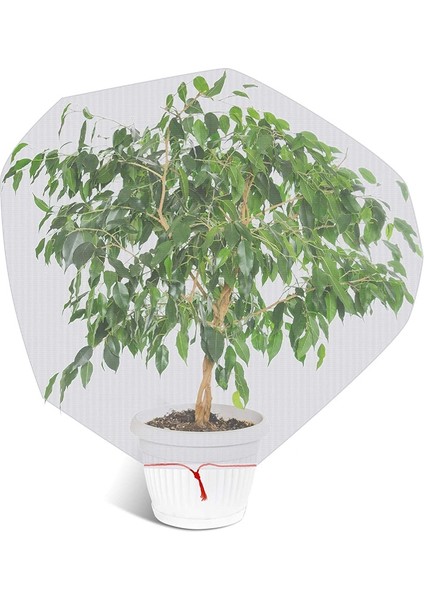 Yaban Mersini Için Kuş Ağı-2*bitki Kafesi-… (Yurt Dışından)