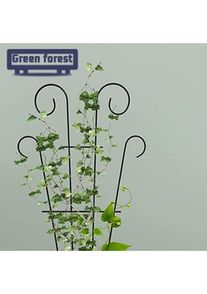 Yeşil Orman Bitki Tırmanma Rafı Geniş Uygulama Mini Tırmanma Kafes Bitki Destek Çerçevesi (Yurt Dışından)