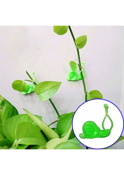 Bitki Fikstür Kelepçesi Kendinden Yapışkanlı Yapışkan Tırmanma Bitki Klipsi (Yurt Dışından)