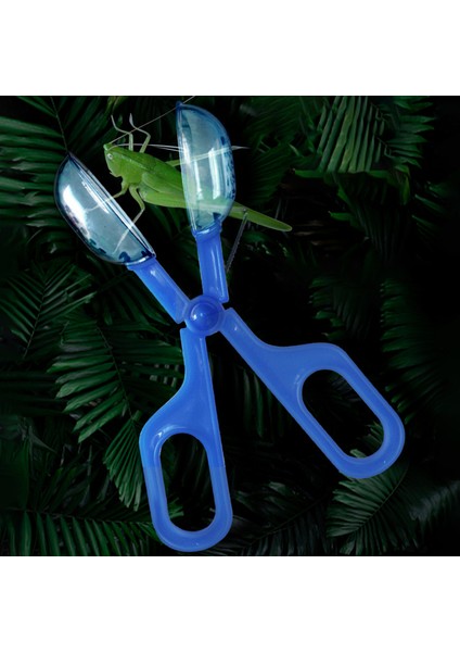 Helloworld Arı Tuzağı Çok Amaçlı Çok Fonksiyonlu Uzun Ömürlü Arı Tuzağı (Yurt Dışından) indirimleri