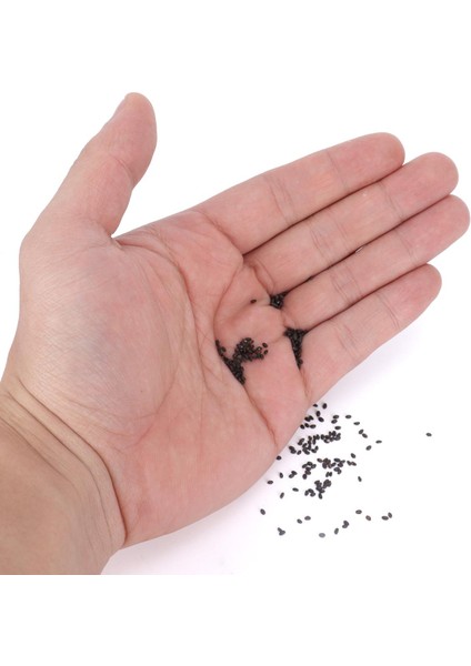 Çiçek Tohumları, Bahçe Için Balkon Için Bahçe Için 300 Adet Kolay Büyüme Catchfly Tohumları (Yurt Dışından)