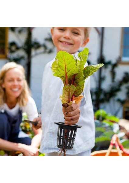 Oluklu Örgü Geniş Filtre Tesisi Net POT-100 * Tencere Bardak 100 * Sünger-Siyah (Yurt Dışından) modelleri