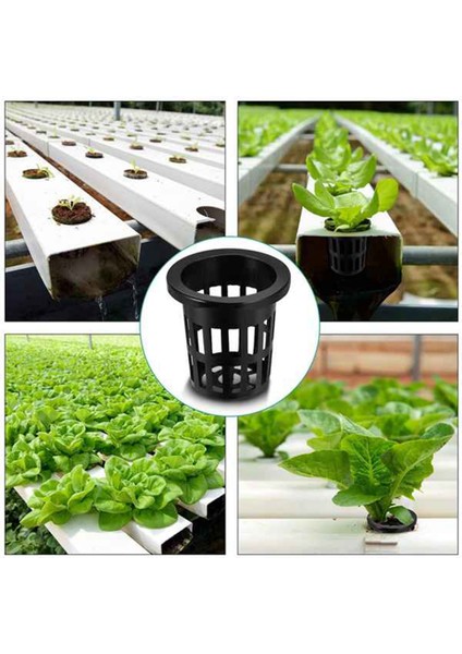 Oluklu Örgü Geniş Filtre Tesisi Net POT-100 * Tencere Bardak 100 * Sünger-Siyah (Yurt Dışından) indirimleri