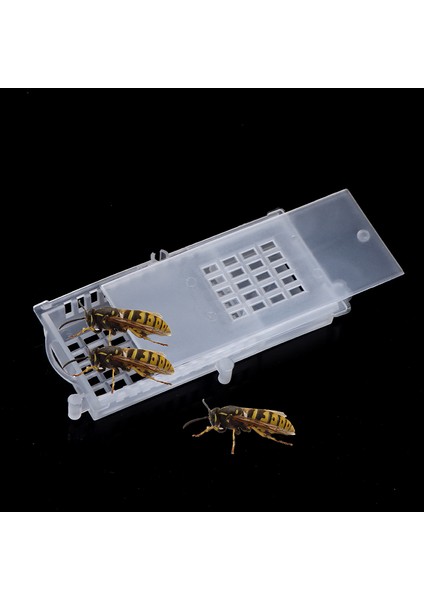 Arı Aracı Arı Taşıma Kafesleri Kraliçe Evi Arı Kovanı Beyaz Şeffaf Arı Kafesi Güneş Işığı Süper Mağaza (Yurt Dışından)