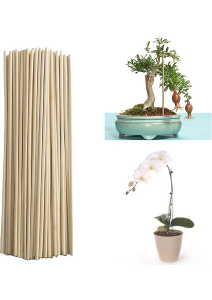Bireysel Bambu Çubuklar BITKILER-500 x Bitki Destek Çubukları-Ahşap Rengi (Yurt Dışından) fırsatları