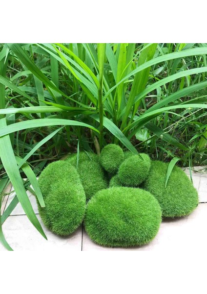 1x Kendiliğinden Sulanan Saksı Otomatik Su Emme Etli ve 32 Adet 5 Boyutu Yapay Yosun Kayalar Dekoratif (Yurt Dışından) indirimleri