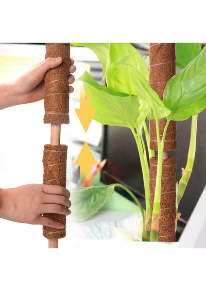 Bitki Tırmanma Çubukları - 1 x Hindistan Cevizi Kabuğu Totem Direği 1 Rulo x Bahçe Bandı 15 x Bitki Etiketi -… (Yurt Dışından) fırsatları