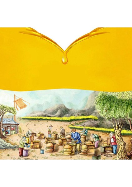 Arı Kovanları-30 * Hücresel Alet-Sarı (Yurt Dışından) fırsatları