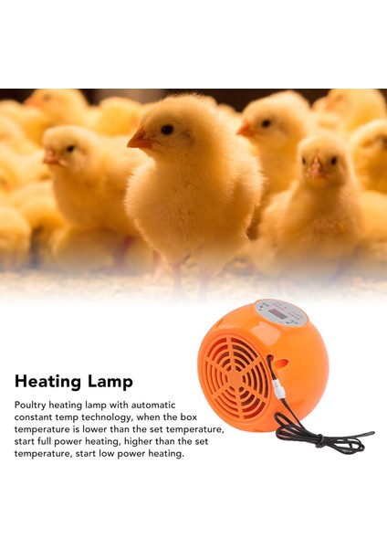 Yetiştirme Isıtma Işığı, Ördek Için Otomatik Sabit Sıcaklık 220V Isıtma Lambası (Yurt Dışından) fırsatları