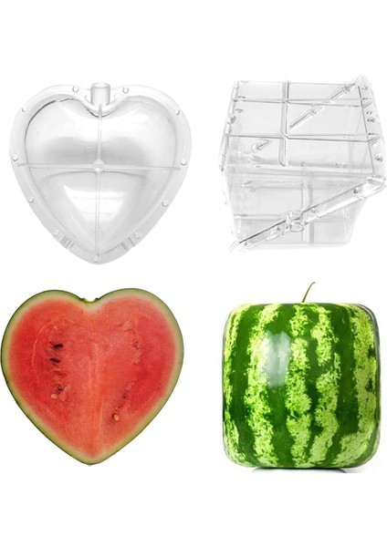 Kare Kalp Karpuz Kalıp Bahçe Meyve Büyüme Şekillendirme Şekillendirme Kalıp Aracı Güneş Işığı Süper Mağaza (Yurt Dışından) modelleri