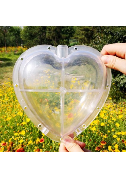 Kare Kalp Karpuz Kalıp Bahçe Meyve Büyüme Şekillendirme Şekillendirme Kalıp Aracı Güneş Işığı Süper Mağaza (Yurt Dışından) fırsatları