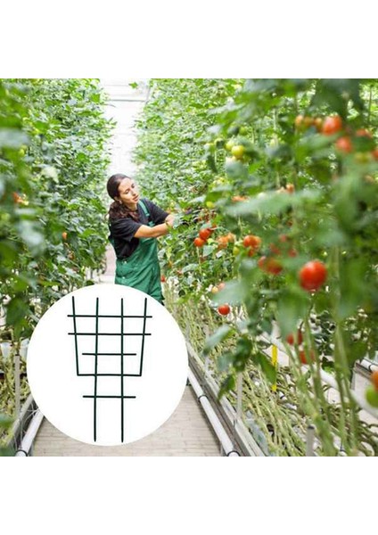 Sebze Bahçesi Standı-6 * Tırmanma Aparatı-Yeşil (Yurt Dışından) fırsatları