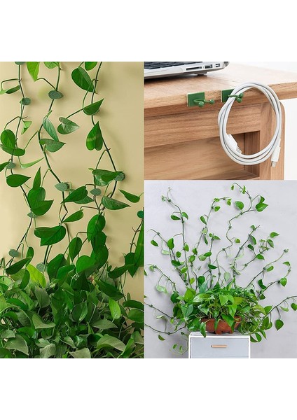100 Adet Bitki Tırmanma Duvarı Fikstürü Klip Bahçe Yeşil Yaprak Braketi (Yurt Dışından)