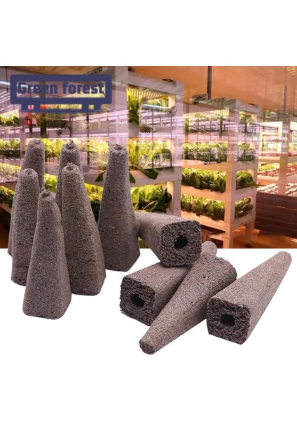 Yeşil Orman Bitki Kapsülü Yenilikçi Üstün Köklenme Yapısı Topraksız Bitki Kapsülü (Yurt Dışından) modelleri