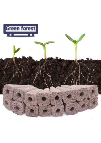 Yeşil Orman Bitki Kapsülü Yenilikçi Üstün Köklenme Yapısı Topraksız Bitki Kapsülü (Yurt Dışından) fırsatları