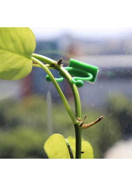 100 Adet Bitki Tırmanma Duvarı Fikstürü Klip Bahçe Yeşil Yaprak Braketi (Yurt Dışından) fiyatları